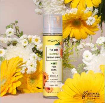 MOIRSA THE BEST 4 IN 1 SETTING SPRAYS